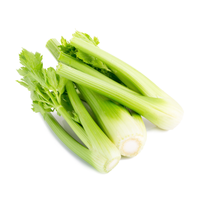 Organic Celery
