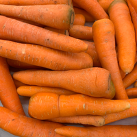 Organic Carrots